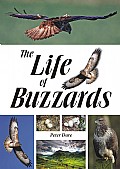 The Life of Buzzards Cover
