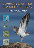 Common and Spotted Sandpipers Cover