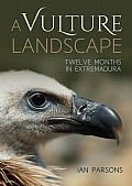 A Vulture Landscape Cover