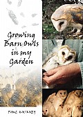 Growing Barn Owls in my Garden
