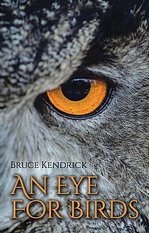 An Eye for Birds